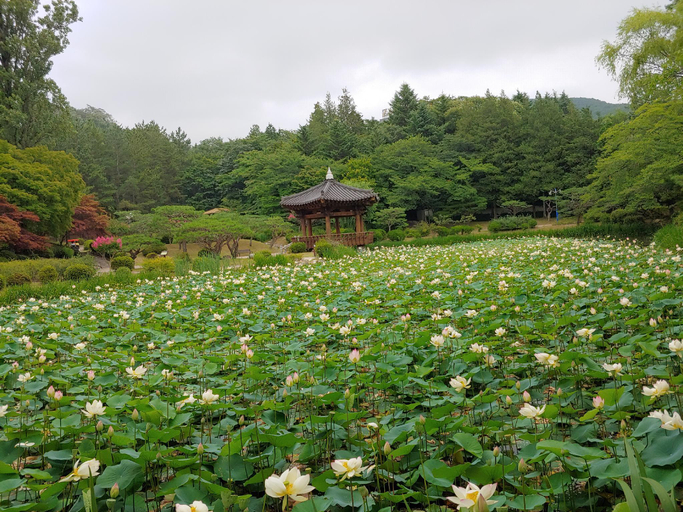 Others 4, Gyeongju Bomun Zara, Gyeongju