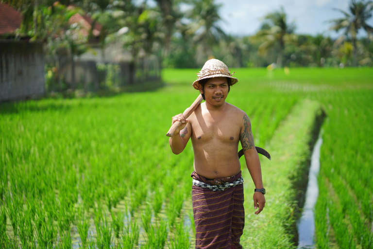 Others 2, Villa Mandi Resort & Spa, Gianyar