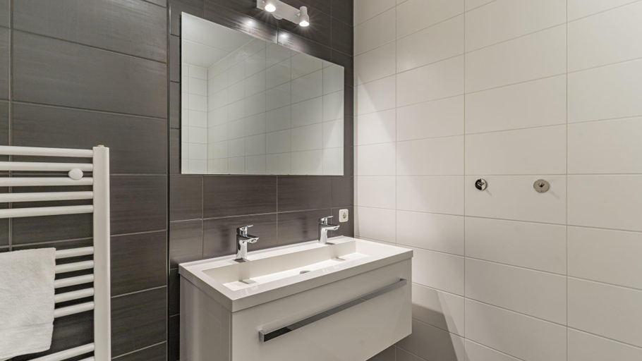 Bathroom 5, dormioresort-maastricht, Limburg