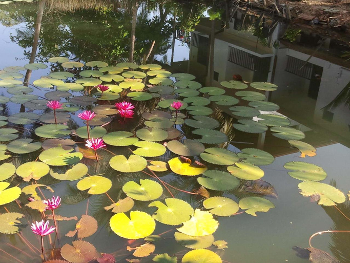 Sport & Beauty, Lagoon Villa, Hikkaduwa