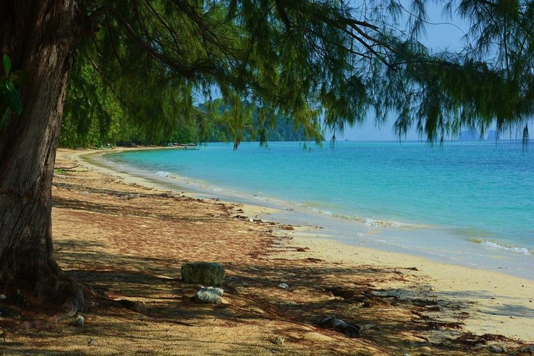 4, Paradise Lost Resort, Kantrang