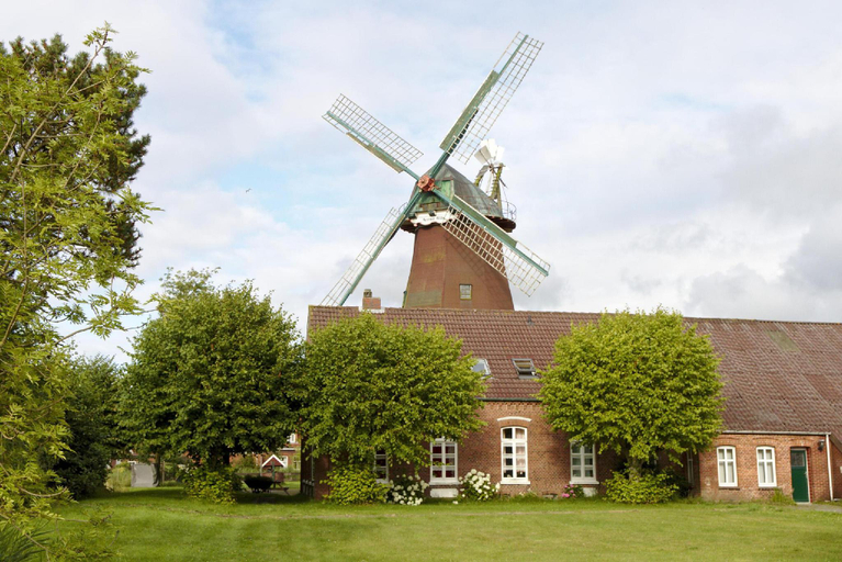 Others 5, Muehlenhof Nesse, Aurich