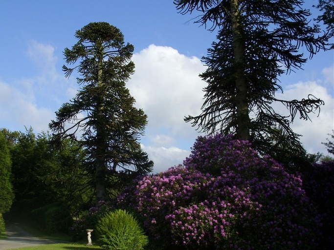 Others 5, Moorlands, Devon