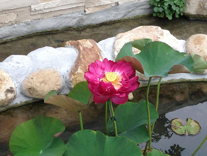Others 4, Songyuan Bed and Breakfast, Nantou