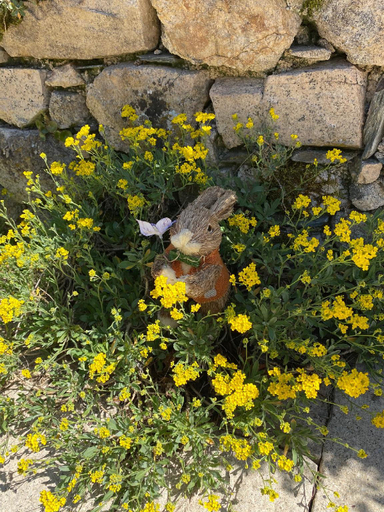 Others 4, Le Clos Saint Georges, Aveyron