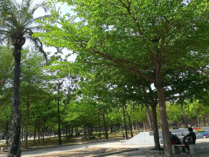 Others 4, Sailin 137 Hostel, Tainan