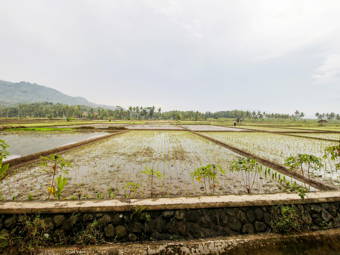 Others 5, Hotel O Desa Wisata Kawasen, Ciamis