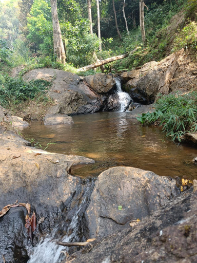 Others 5, Hidden Creek Coorg, Kodagu