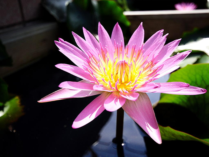 Others 5, Xiang Feng B & B, Yilan