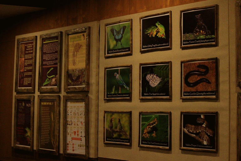Public Area 4, Wayanad Wild - A CGH Earth Experience, Wayanad