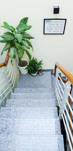 Others 2, Quynhonhomestaybnb, Qui Nhơn