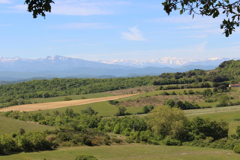 Others 5, Domaine de la Trille, Ariège