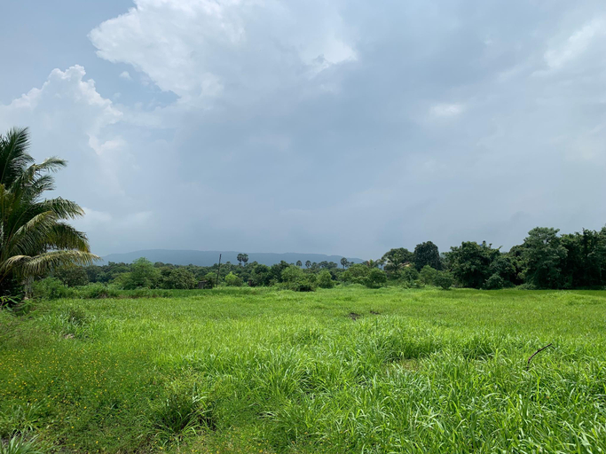 Others 4, Sarovar's Nest, Raigarh