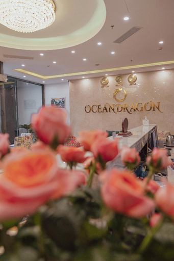Others 4, Ocean Dragon Hotel, Hạ Long