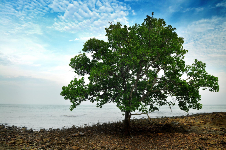 Others 4, Amy D Homestay PD  Nearby Beach (A), Port Dickson