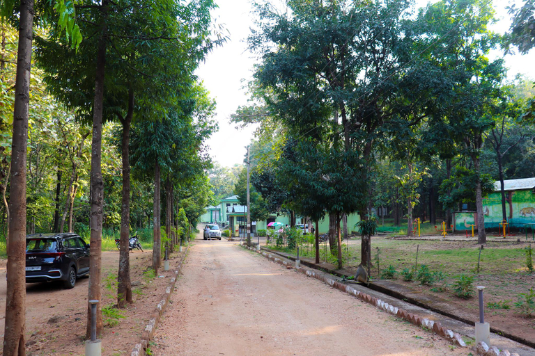 Public Area, Amaltas Tourism Complex, Pench Tiger Reserve, Sillari, Nagpur