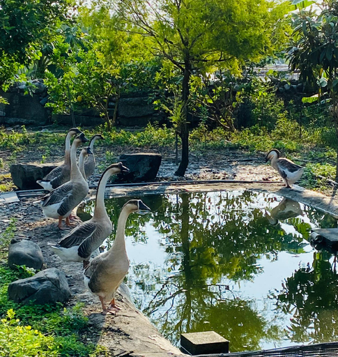 Others 3, Satisfied Homestay 1900, Yilan