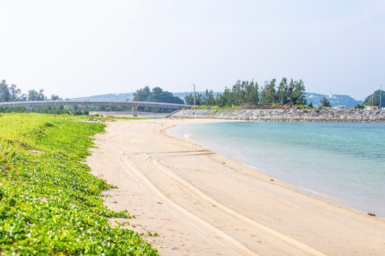 Others 4, Beachfront room with free marine items in Okinawa, Nago