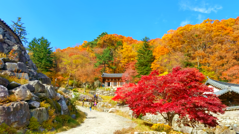 Muju Yangjiteul Pension, Muju