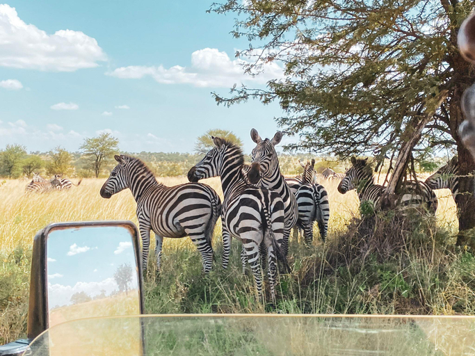 Others 4, Foresight Eco Lodge & Safari, Karatu