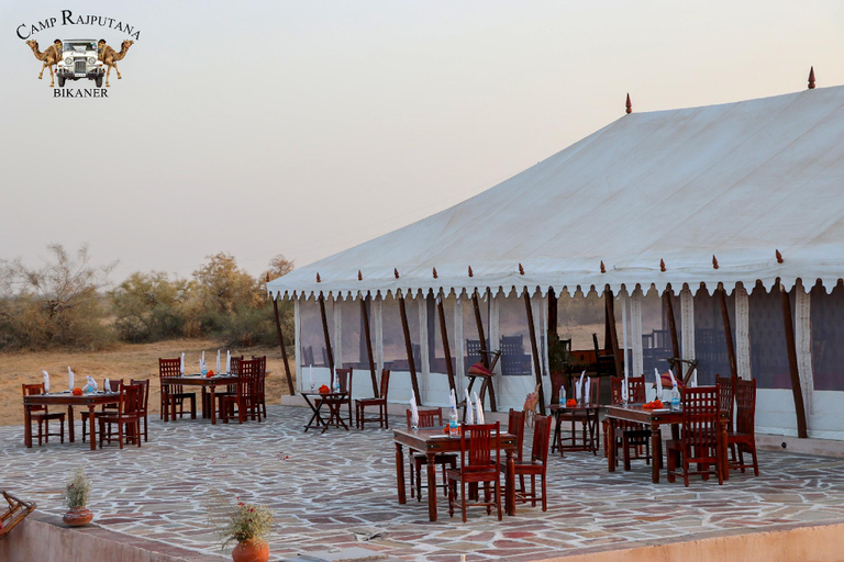 Food & Drinks, Camp Rajputana, Bikaner