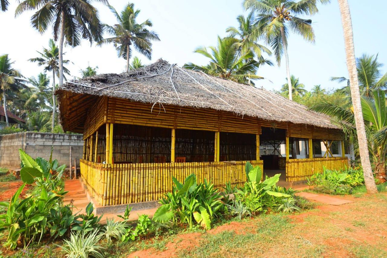 Exterior & Views 3, Paraikal Beach Resort, Kanniyakumari