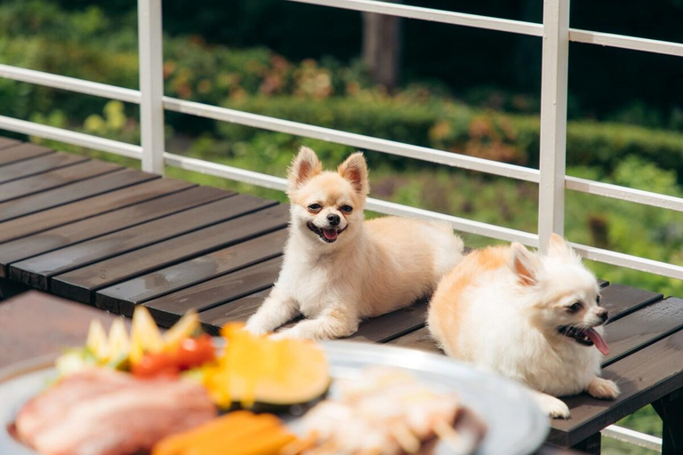 Bedroom 2, Izu, Enjoy BBQ with your family in a chill place!, Itō
