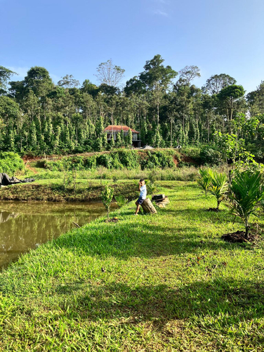 Others 3, Green Turfs Farmstay- A cozy 2 bedroom cottage, Kodagu