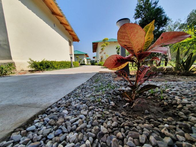 Others 5, The tiger claw resort, ísla de Pascua