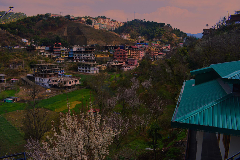 Others 4, OrchidHomestay Kandaghat, Solan