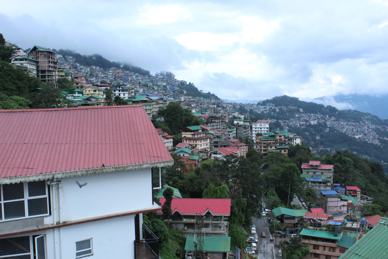 Others 3, Hotel Leo International, East Sikkim