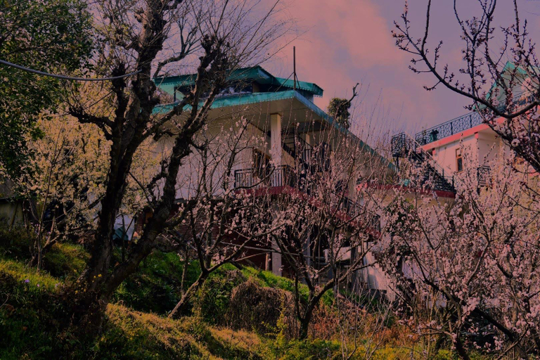Others 4, OrchidHomestay Kandaghat, Solan