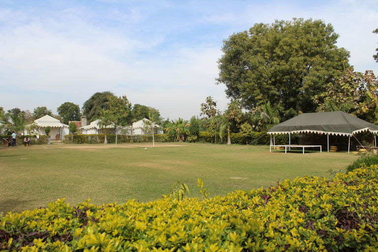 Others, The Tiger Queen Resort, Sawai Madhopur
