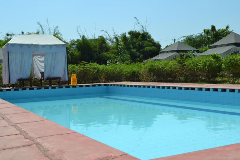 Sport & Beauty 5, The Tiger Queen Resort, Sawai Madhopur