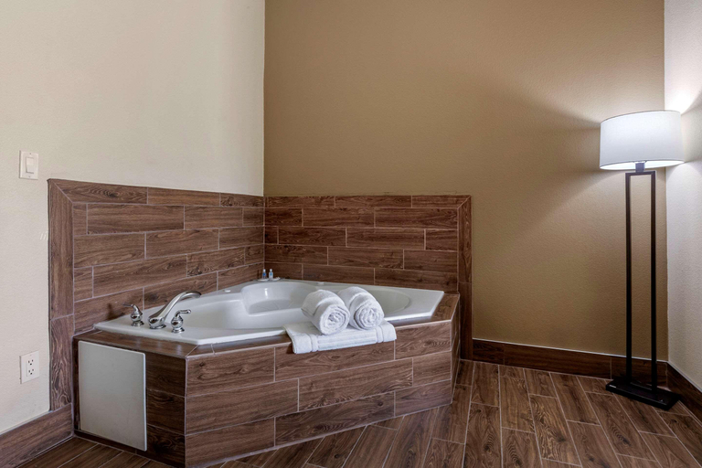 Bathroom 4, Comfort Suites Granbury Area, Hood