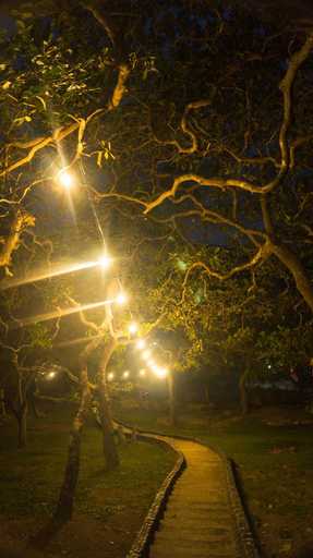 Others 5, CED Garden Residence, El Nido