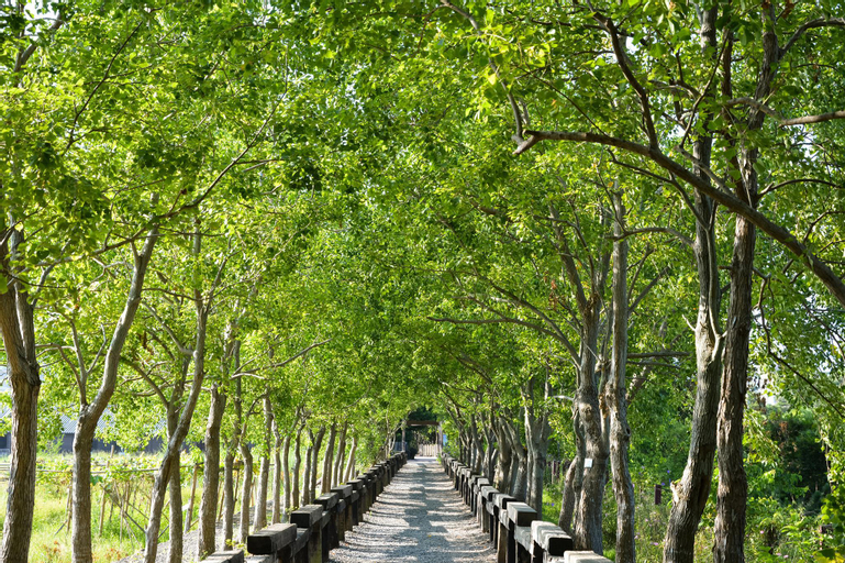 Nearby Landmark 4, Armani Slide Family, Yilan