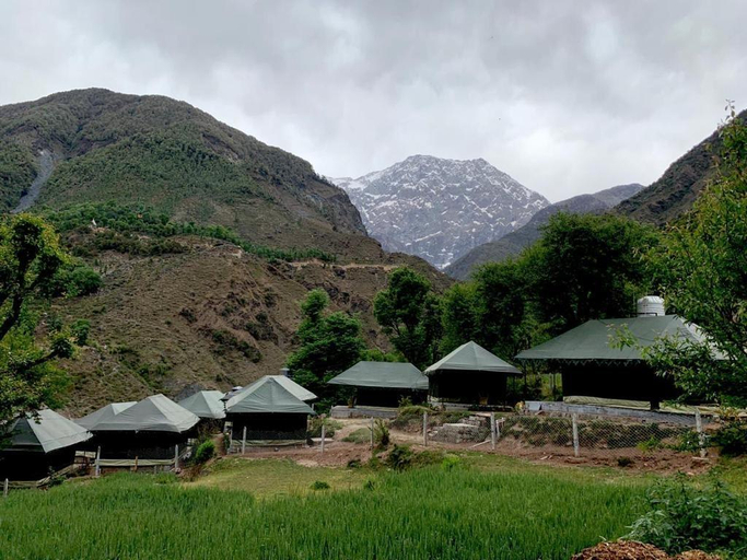 Others 5, Camp Dharamshala, Kangra