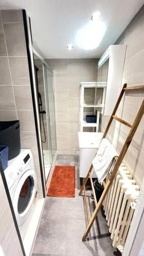 Appartement 6 voyageurs hyper centre Albi, Tarn