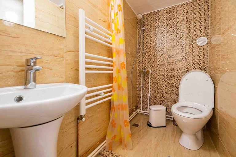 Bathroom 2, Cabana Bucuria Munților, Horea