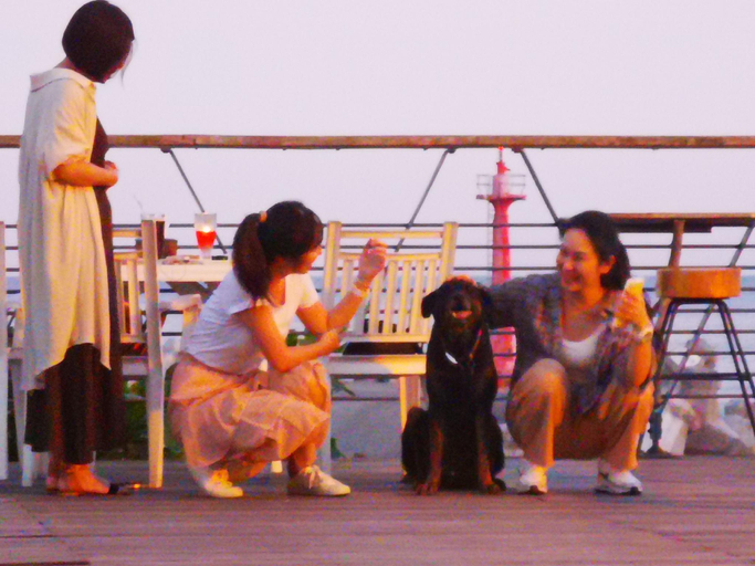 Others 5, Coastline Individual Seaview house Animalfriendly , Taitung