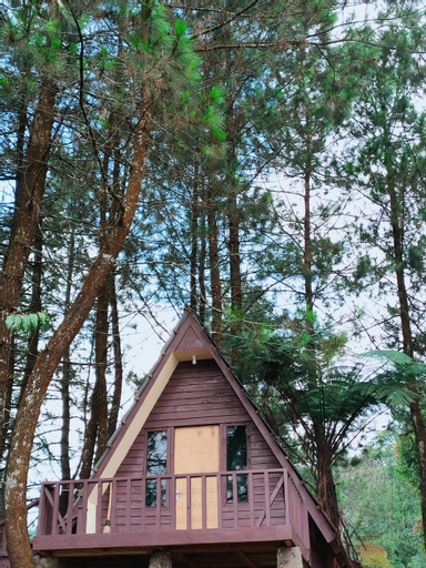 Bukit Pinus Paseban Camp , Bogor