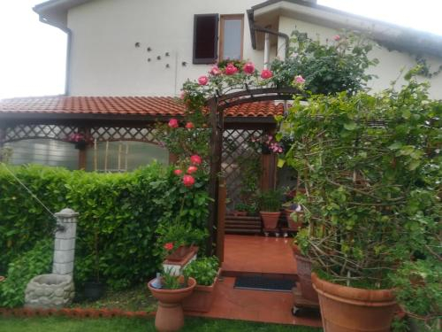 Exterior view 4, Il Giardino delle Rose, Florence