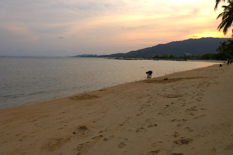 Others 2, Rose Garden Samui Bungalows, Ko Samui
