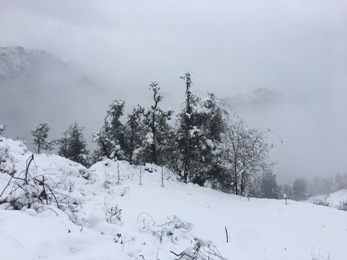 Others 5, LaCliff Nature Home, Tehri Garhwal