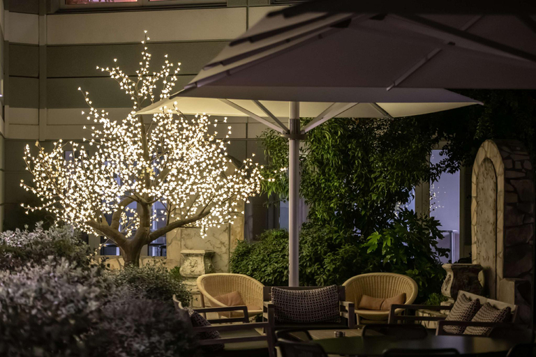 Food & Drinks 5, Golden Tulip Sophia Antipolis, Alpes-Maritimes