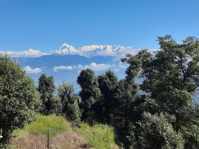 5, Janardan Studio Hotel Kausani, Bageshwar