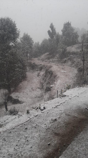 3, Janardan Studio Hotel Kausani, Bageshwar