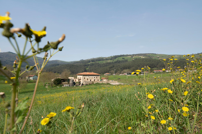 Others 3, Casa rural Alvarado, Cantabria