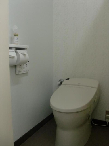 Bathroom 3, Lodge Marushige, Nozawaonsen